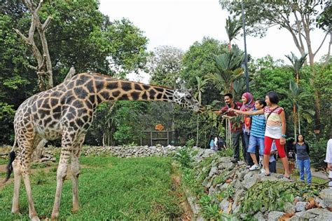 Melaka Zoo Tickets Price 2024 + [Promotions / Online Discounts]