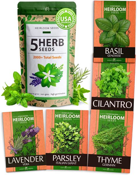 Amazon.com : HOME GROWN 5 Herb Seeds Variety Pack - Culinary Herb ...