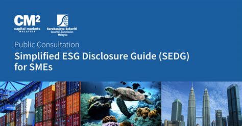 Simplified ESG Disclosure Guide (SEDG) for SMEs – MSFI