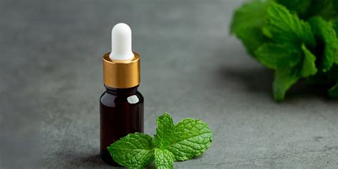 Peppermint Oil Benefits For Hair