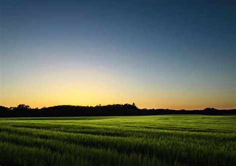 Night View Of Field by Sergei Pitkevitch