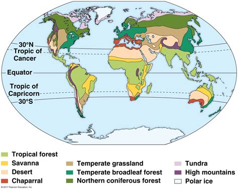 Terrestrial Biomes Diagram | Quizlet