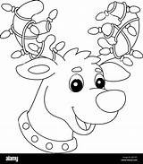 Christmas Reindeer Head Isolated Coloring Page Stock Vector Image & Art  sketch template