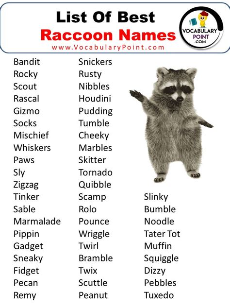 500+ Best Raccoon Names (Cute, Pet, Male & Female) | Raccoon paws ...