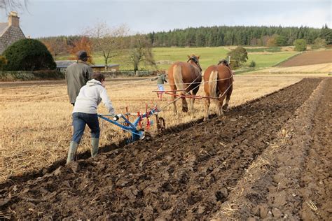 Buying a plough in 1899 – Scottish agricultural implement makers