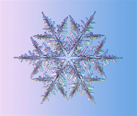 Found on Bing from www.pinterest.com Snowflakes Real, Snowflake Photos, Snowflake Shape, Winter ...