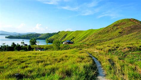 Teletubbies Hill in Jayapura City, Papua Province