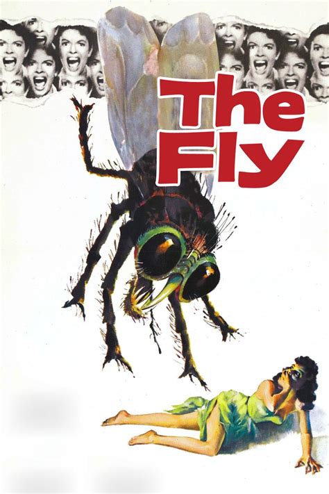 The Fly (1958 film) - Alchetron, The Free Social Encyclopedia