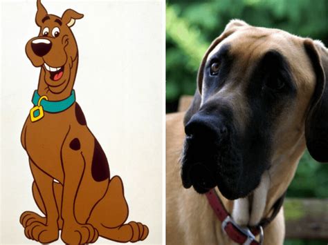 What Kind of Dog Is Scooby-Doo? A Surprising Answer - Dog Counsel