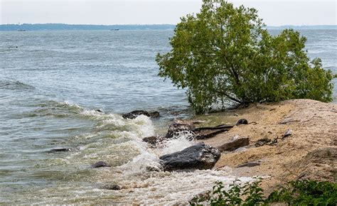 Ferida's Backyard: Lake Erie is a Great Lake