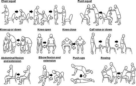 Eccentric and concentric resistance exercises performed in the... | Download Scientific Diagram