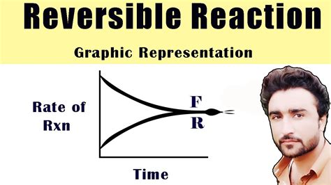 Reversible Reactions || Graphic Representation of Reversible Reactions ...