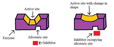 Which site of an enzyme is called an allosteric site class 12 chemistry JEE_Main