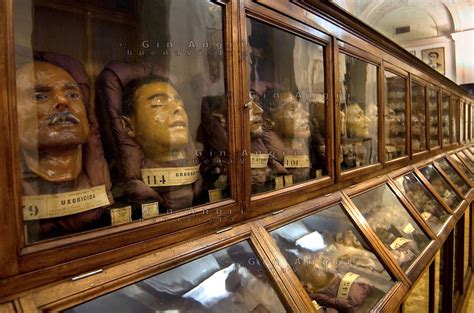 Museum of Criminal Anthropology Cesare Lombroso of Turin - CulturalHeritageOnline.com