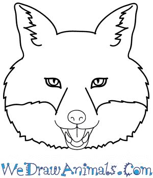 How to Draw a Fox Face