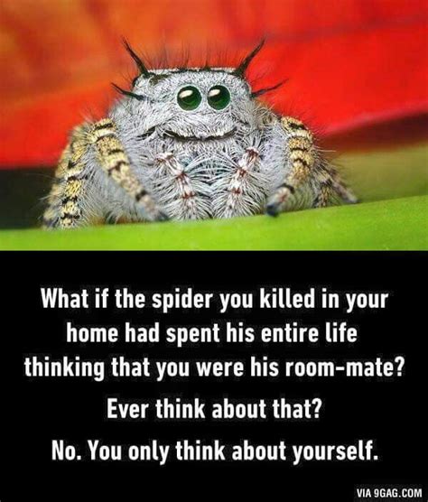 Die besten 25+ Spider meme Ideen auf Pinterest | Spinne Humor, Lustige ...