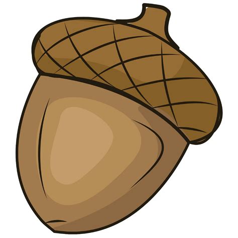 Download High Quality acorn clipart woodland Transparent PNG Images - Art Prim clip arts 2019