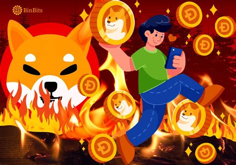 Shiba Inu coin burn (burning) - All you need to know - BinBits