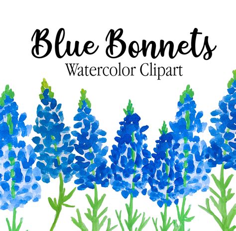 Watercolor Clipart, Watercolor Flowers, Watercolor Art, Indian Paintbrush, Vinyl Cut, Blue ...