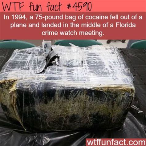 Weird Facts That Are Almost too Crazy to be True (25 pics) - Izismile.com