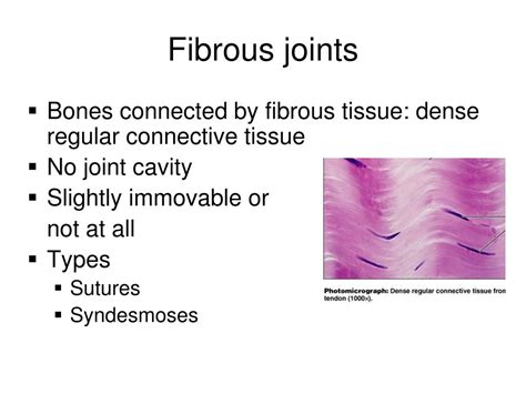 PPT - Joints PowerPoint Presentation, free download - ID:2754854