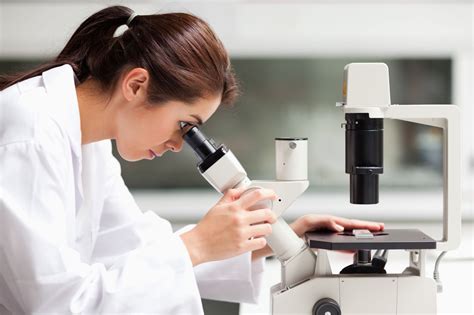 What Are The 5 Types Of Microscopes And Their Uses | International Medical Aid