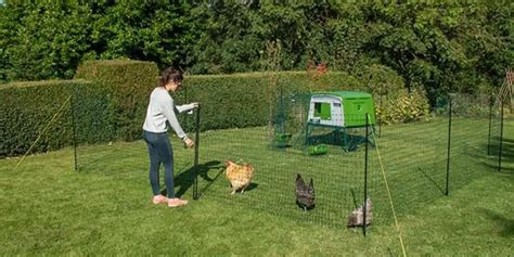 Portable Chicken Fence | Omlet Chicken Fence Review 2023 | Hutch and Cage