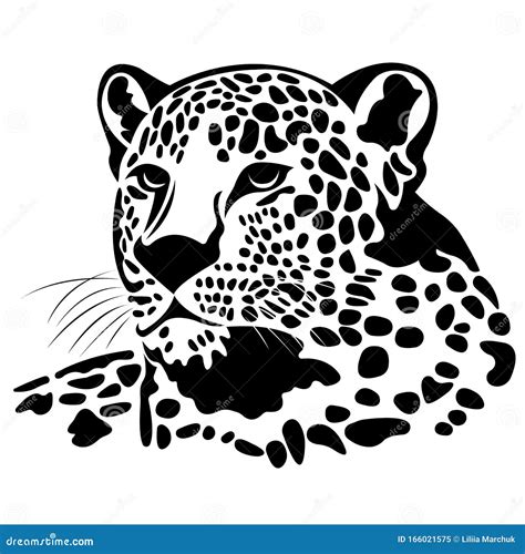 The Silhouette of a Jaguar Head is Painted Black with Various Lines. Logo of the Jaguar Face ...