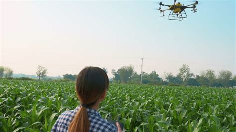 Smart farmer with drone spraying fertilizer and pesticide over farmland,High technology ...