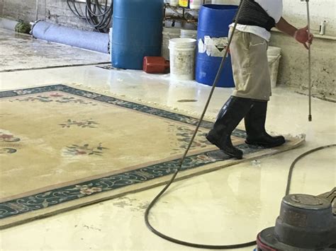 Professional Rug Cleaning Services - Rug Cleaners Near me, Rug Cleaner