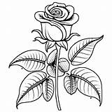 Antique Rose Flourish Coloring Page · Creative Fabrica sketch template