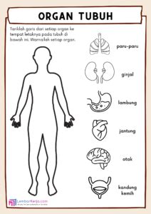 Organ Tubuh Manusia (1) - LembarKerja.Com