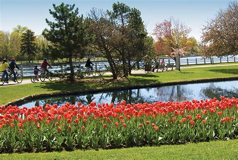 Things to Do at the Canadian Tulip Festival 2018