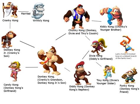 explaining the donkey kong family tree the right way | Donkey kong ...