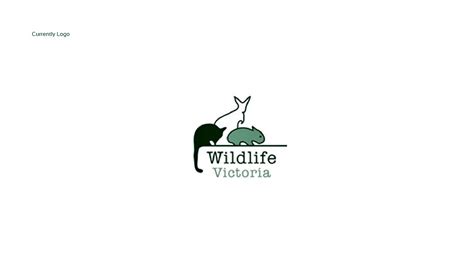 Wildlife Victoria Rebranding :: Behance