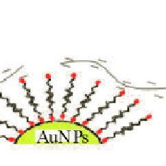 Schematic diagram of proposed assay for the determination of heparin. | Download Scientific Diagram