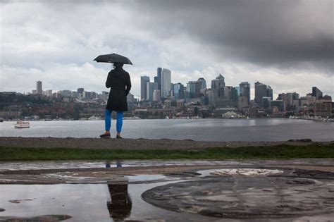 Seattle records eighth rainiest January; soggy weather continues into February, NWS says