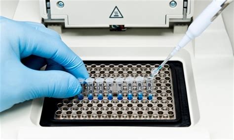 What is Site-Directed Mutagenesis?