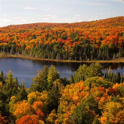 Algonquin Provincial Park - The Great Canadian Wilderness