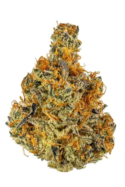 Orange Kush Strain | Cannabis Strains | Flavor Fix