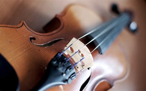 Photography Violin wallpaper | 2560x1600 | #28789