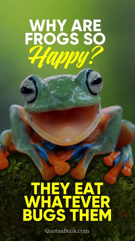 Quote About Frogs - Positive Frog Quotes. QuotesGram : Frog quotes are ...