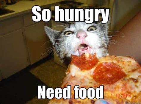 30 Hungry Memes You'll Find Too Familiar - SayingImages.com