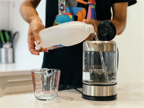 How to Clean a Kettle in 5 Easy Steps - realestate.com.au