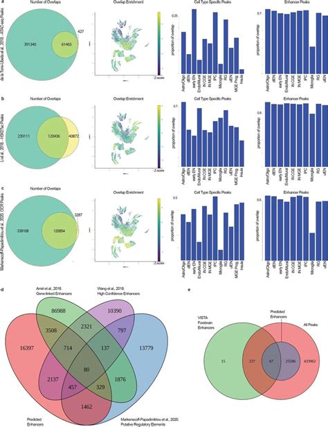 ScATAC-seq peaks overlap with previously annotated bulk ATAC-seq peaks ...