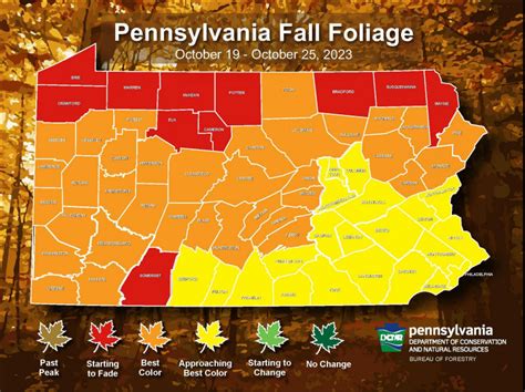 Peak Fall Foliage Pa 2024 - Spring Equinox 2024