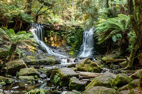 Hiking at Mount Field National Park - TravellingAccountant