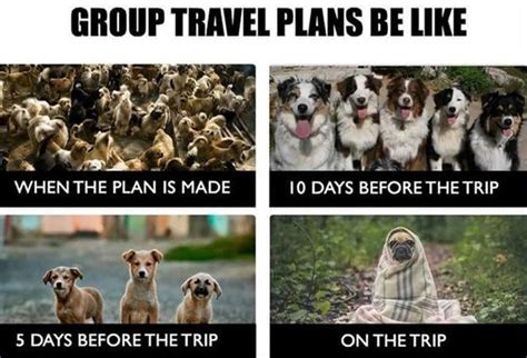 55 Funny Travel + Vacation Memes: Most Popular Travel Memes of 2019