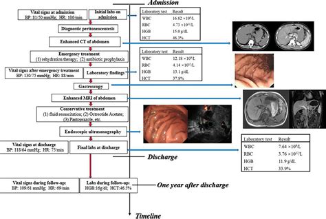 Frontiers | Idiopathic Spontaneous Intraperitoneal Hemorrhage Due to Vascular Malformations in ...