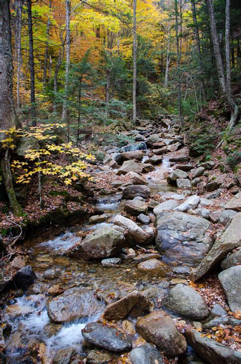 White Mountains Fall Foliage 052 by FairieGoodMother on DeviantArt